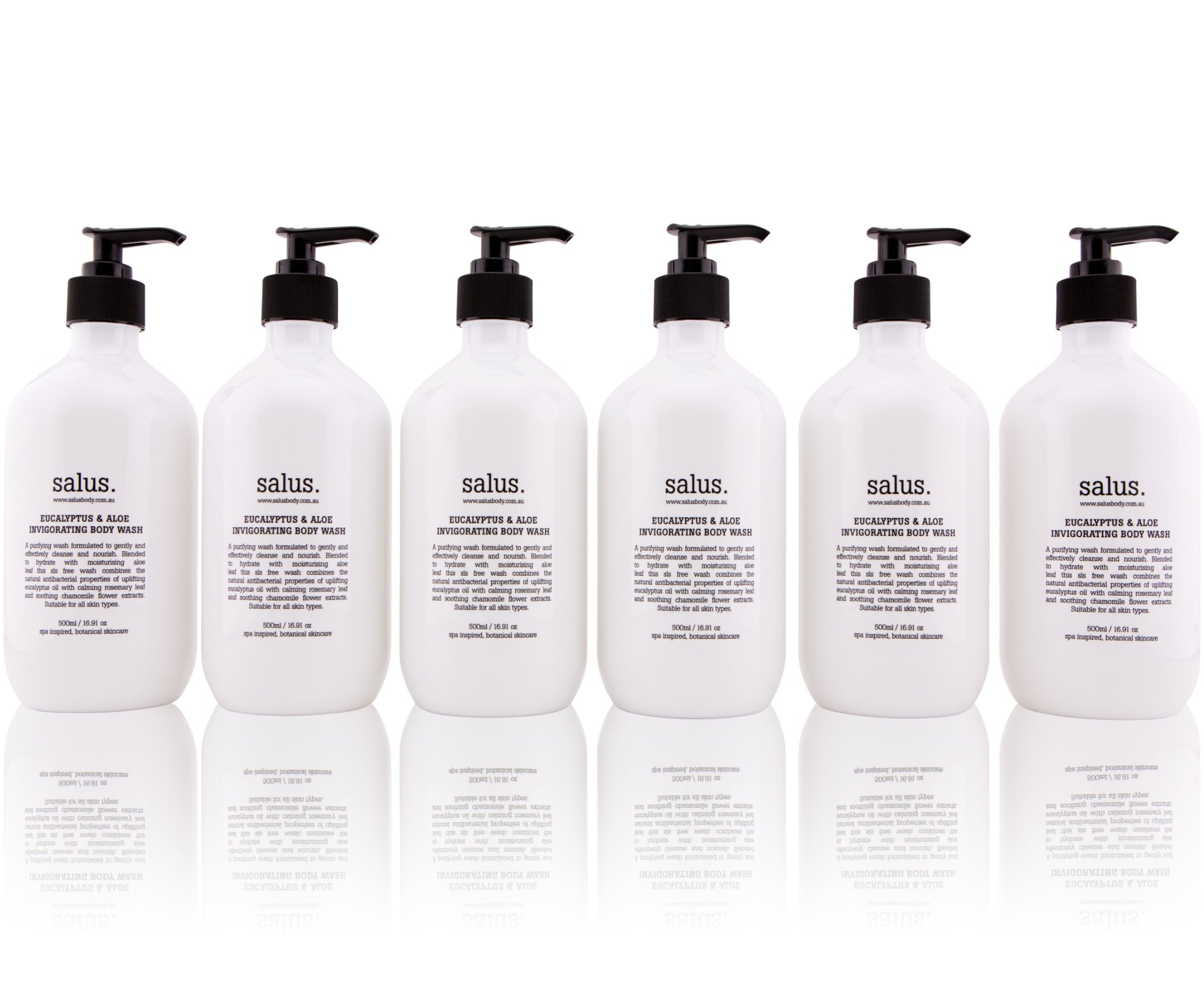 Body Wash, Eucalyptus & Aloe – 6 Pack