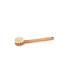 Face Brush with Handle