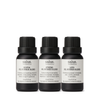Oil Burner Blend Trio