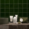 Quintessential Skin Quartet